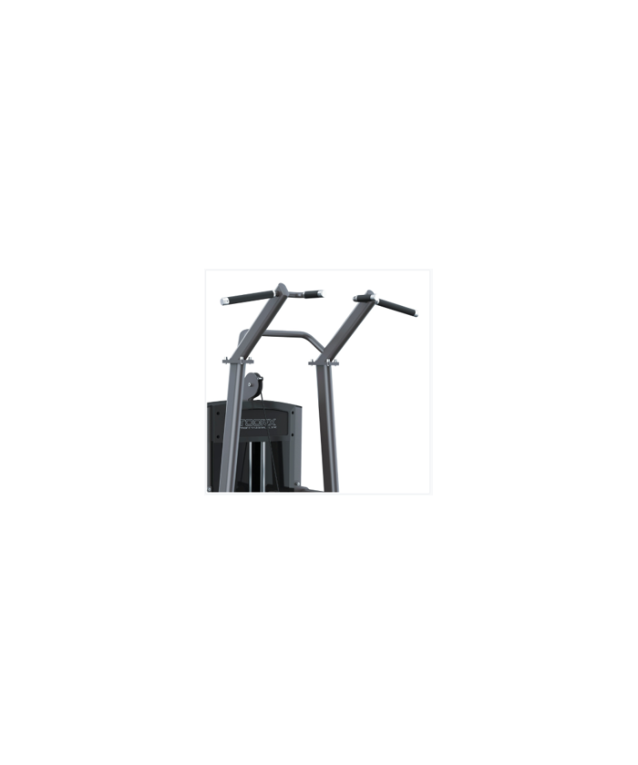 PULL UP-CHIN DIP- DIPS ASSISTE