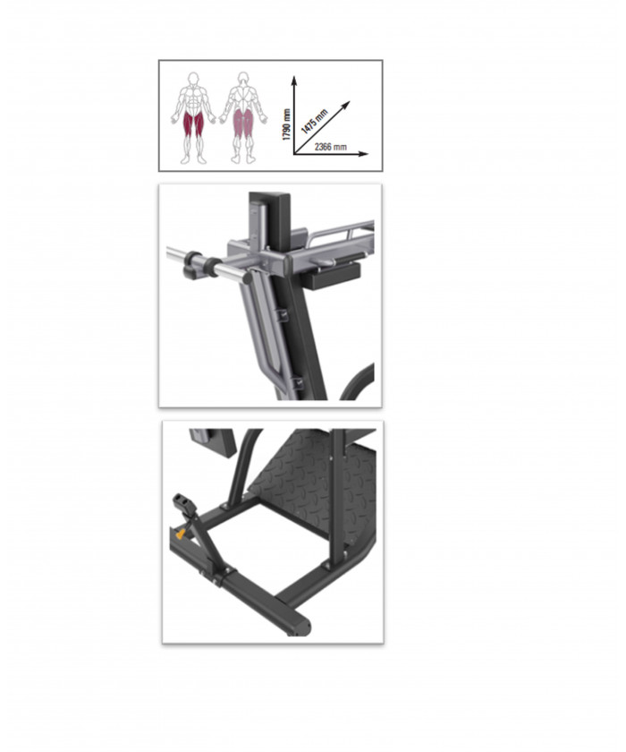 PENDULUM  SQUAT