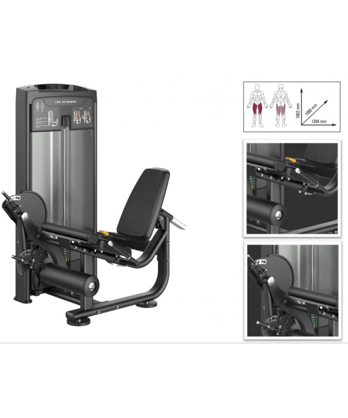 LEG EXTENSION