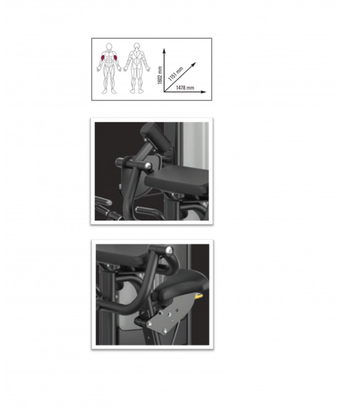 BICEPS CURL A CHARGE GUIDEE