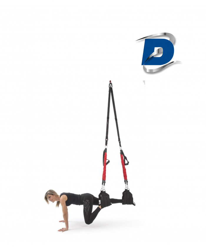 Bungee fitness