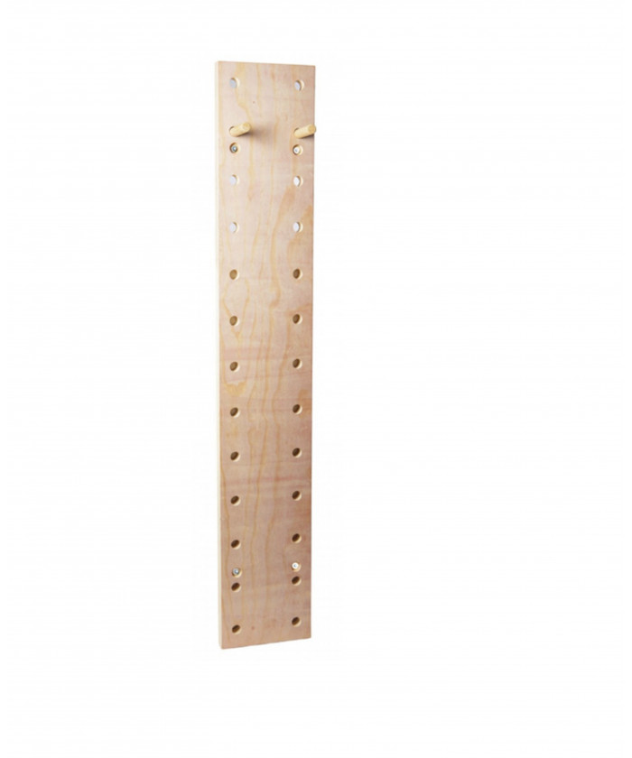 PEG BOARD PRO - MUR BOIS D'ESCALADE -