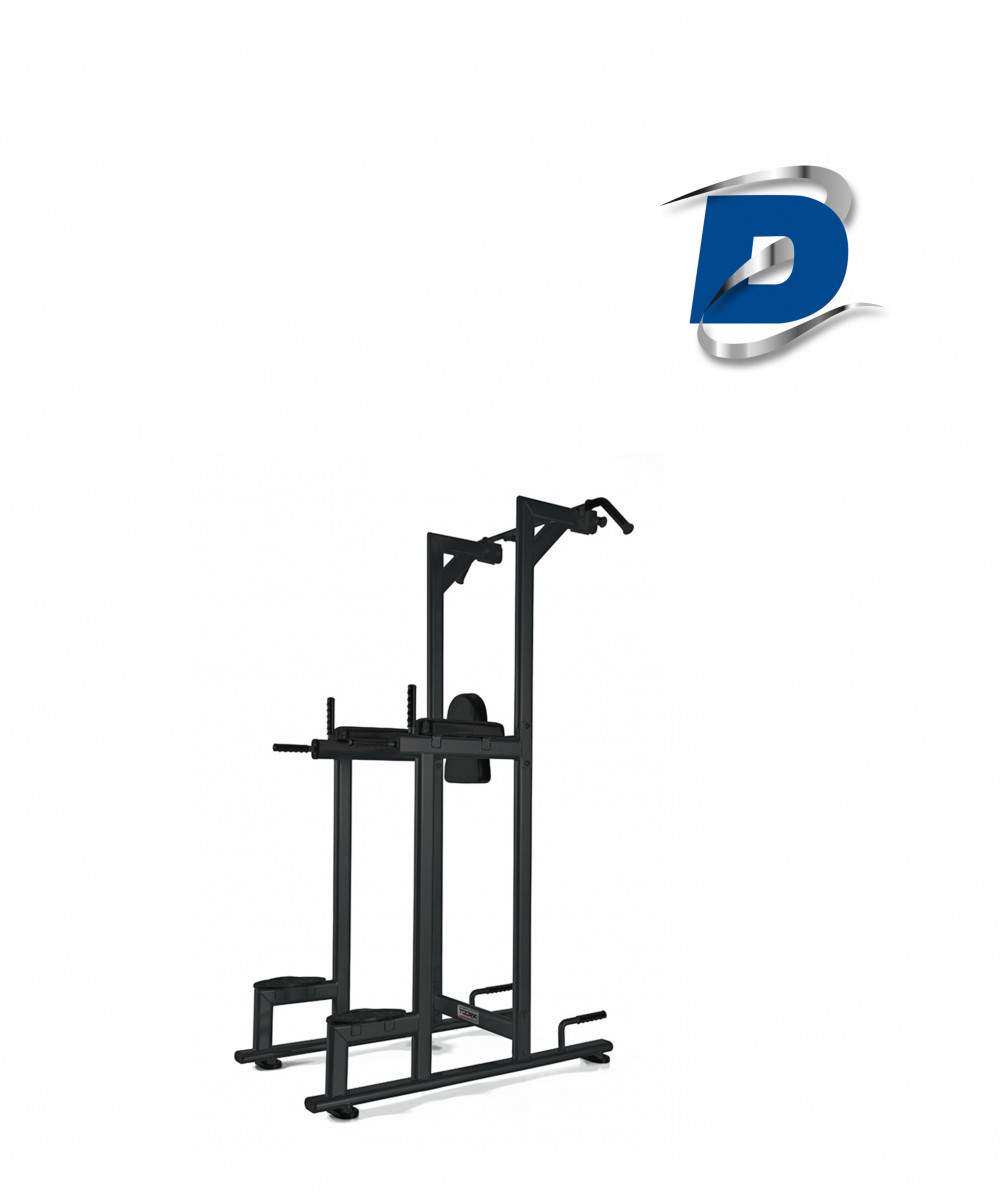 CHIN DIP - CHAISE ROMAINE PRO CHIN DIP - CHAISE ROMAINE PRO
