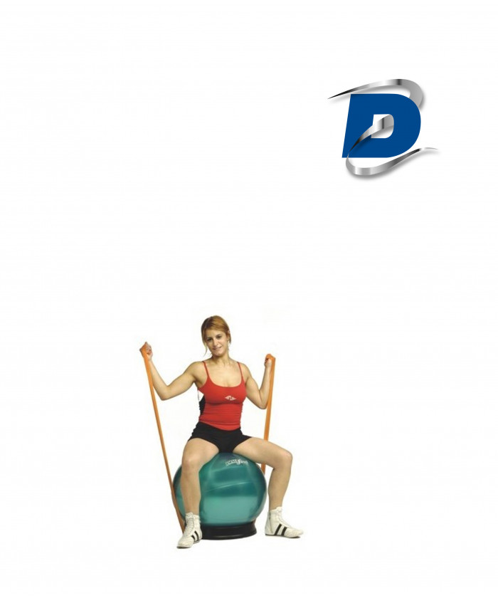 BASE EXERCICES GYM BALL