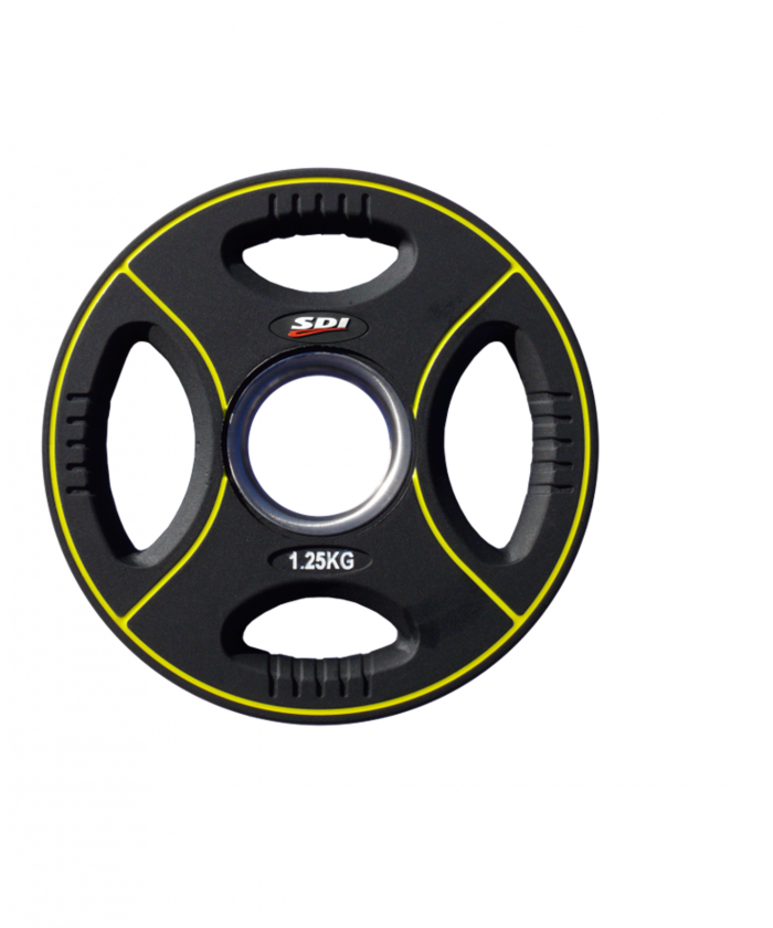 DISQUE AVEC POIGNEES