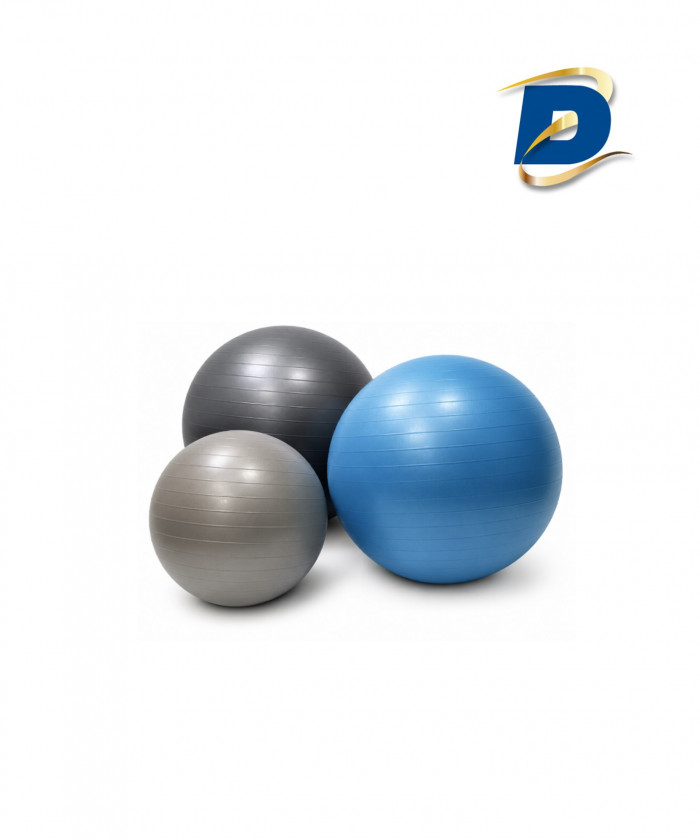 GYM BALL DISPORTEX 55-65-75 CM