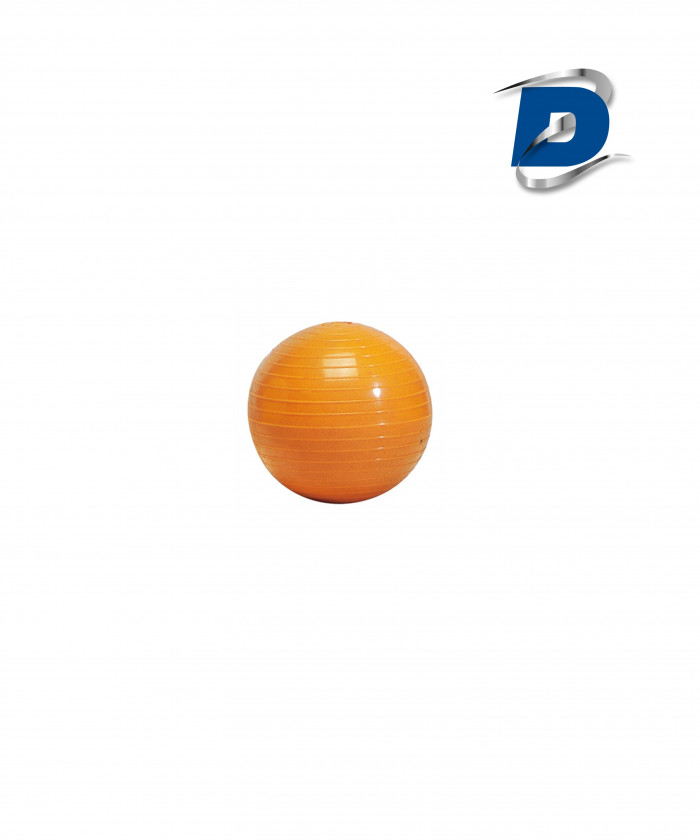 BALLE A LANCER STRIEE 500 G