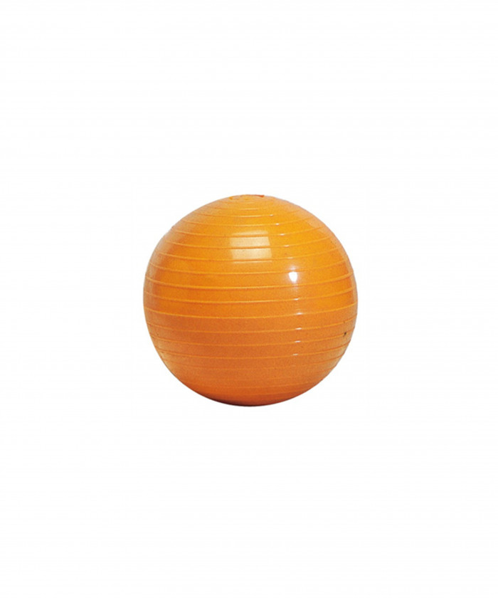 BALLE A LANCER STRIEE 500 G