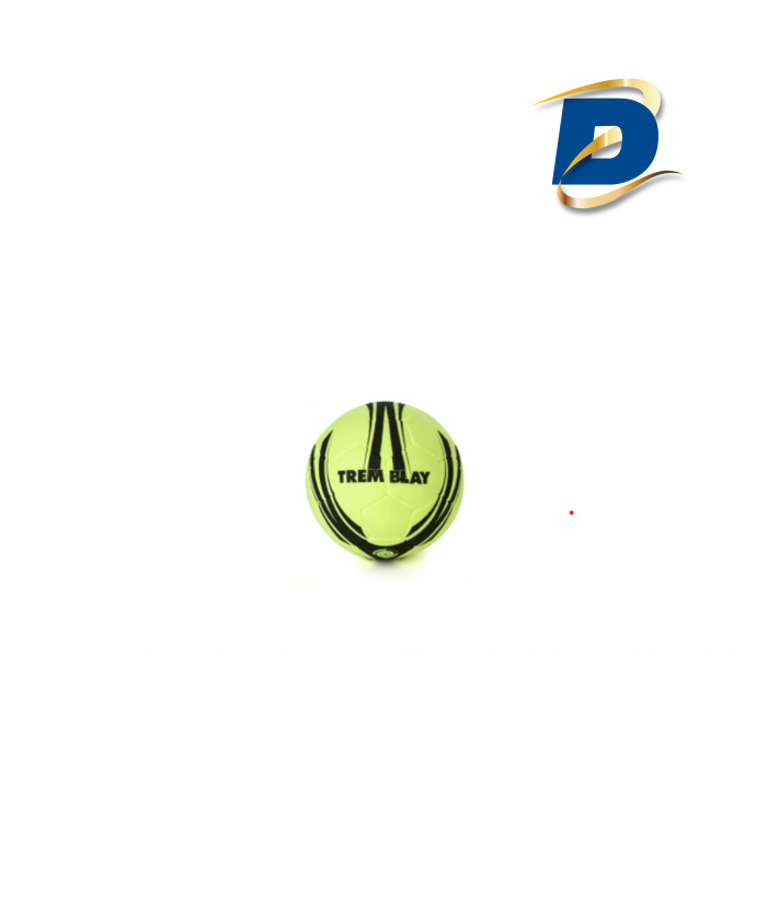 BALLON FOOT INDOOR FEUTRINE T4