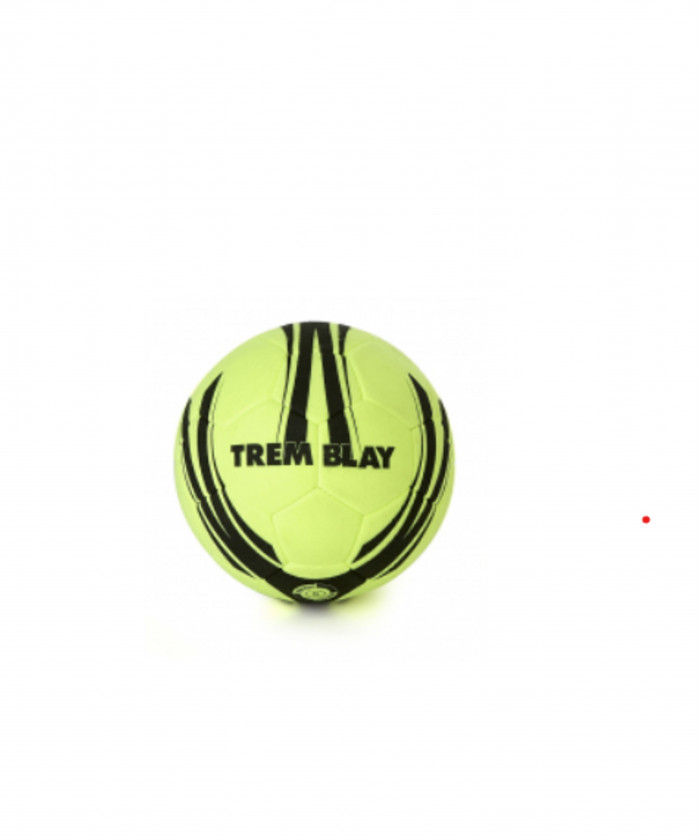 BALLON FOOT INDOOR FEUTRINE T4