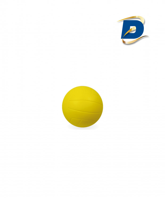 BALLON VOLLEY MOUSSE HD