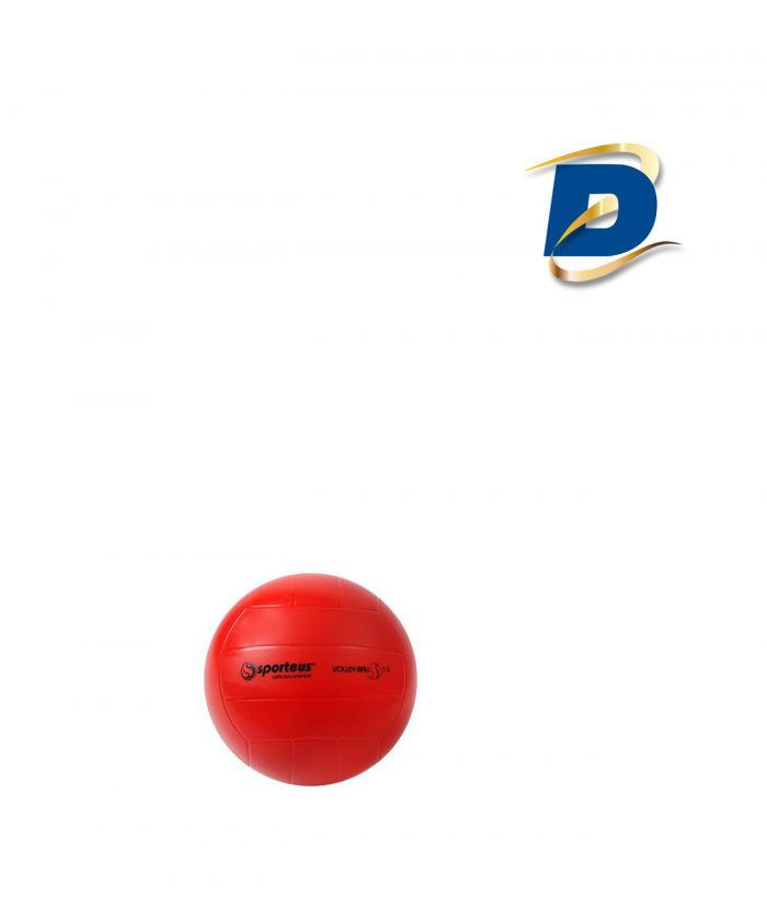 BALLON DE VOLLEY MIKASA KIDS SKV5