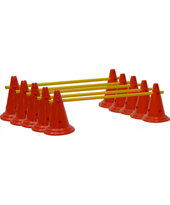 MINI HAIES / CONE 30 CM (LOT DE 5)