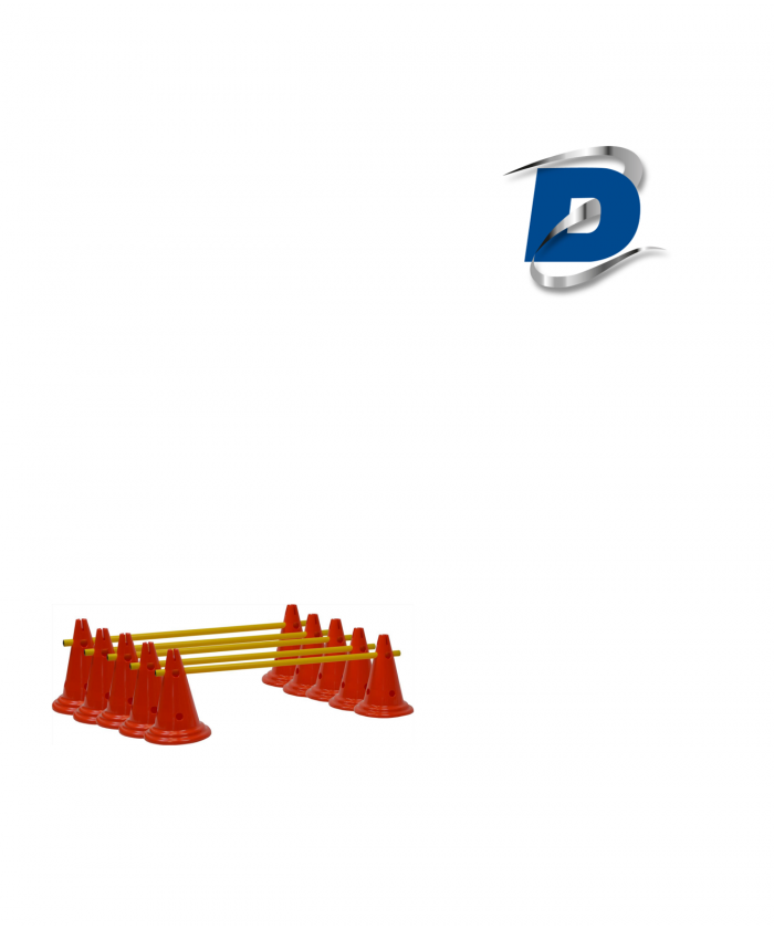 MINI HAIES / CONE 30 CM (LOT DE 5)