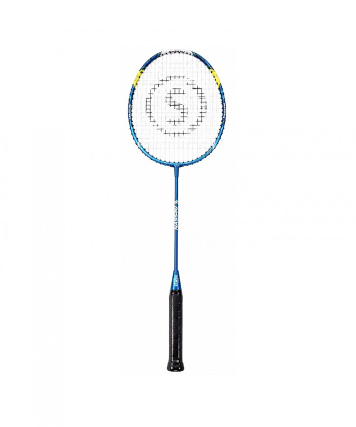 RAQUETTES 66 CM ACIER (LOT DE 6)