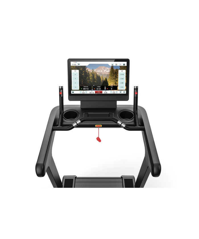 TAPIS DE COURSE PRO CROSS A LATTE